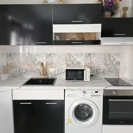 влад дом студио Apartman Vraca